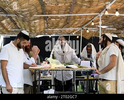 Hebron, Cisgiordania. 3 ottobre 2023. Gli ebrei religiosi pregano in succah durante la festa di Sukkot, la festa dei Tabernacoli, a Hebron, Cisgiordania, martedì 3 ottobre, 2023. foto di Debbie Hill/ Credit: UPI/Alamy Live News Foto Stock