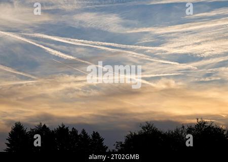 03.10.2023 Herbst Impressionen in den Streuobstwiesen. Kondenzstreifen am blauen Himmel mit Weißen Wolken zum Sonnenaufgang Darmstadt Hessen Deutschland **** 03 10 2023 impressioni autunnali nei frutteti prati strisce di condensazione nel cielo blu con nuvole bianche all'alba Darmstadt Assia Germania Foto Stock