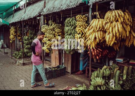 fotografia di strada nelle strade di fortkochi kerala india Foto Stock