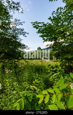 Eagle Mountain House, Golf Club, Jackson, New Hampshire, USA Foto Stock