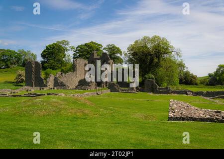 Downpatrick County Down Northern Ireland, 01 gennaio 2010 - Vista panoramica delle antiche rovine dell'abbazia di Inch nella contea di Down Foto Stock