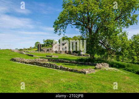 Downpatrick County Down Northern Ireland, 01 gennaio 2010 - Vista panoramica delle antiche rovine dell'abbazia di Inch nella contea di Down Foto Stock