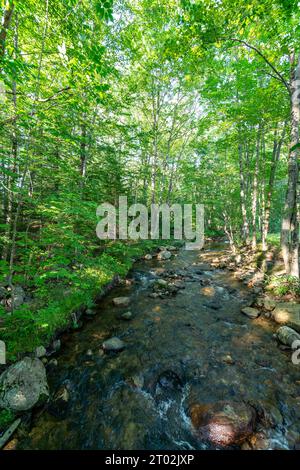 Eagle Mountain House, Golf Club, Jackson, New Hampshire, USA Foto Stock