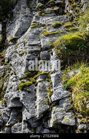 Sfondo di rocce in pietra a strati grossolani, telaio completo. Consistenza ruvida in pietra delle montagne. Le pietre sono ricoperte di muschio e varie piante erbacee Foto Stock