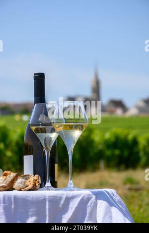 Bicchieri di vino bianco da vigneti di Pouilly-Fume appelazione ed esempio di terreno di selce, vicino a Pouilly-sur-Loire, Borgogna, Francia. Foto Stock