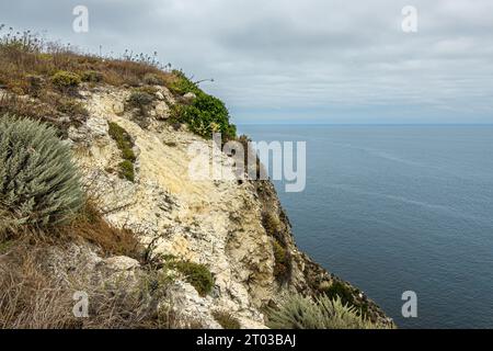 Santa Cruz Island, CA, USA - 14 settembre 2023: Vegetazione verde sparsa in cima alla scogliera appena a ovest dello Scorpion Anchorage mostra una geo giallo-bianco cremosa Foto Stock