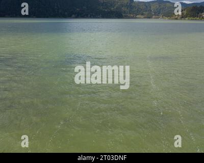 Colore verde dell'acqua del lago di Furnas, causato dall'eutrofizzazione, nell'isola di Sao Miguel nelle Azzorre Foto Stock