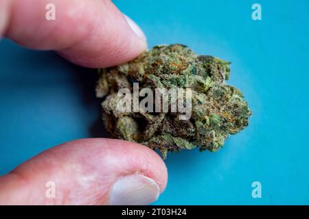 Cannabis medicalmente prescritta coltivata e confezionata in Canada e importata per uso australiano Foto Stock