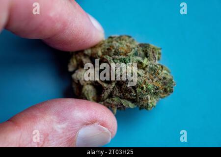 Cannabis medicalmente prescritta coltivata e confezionata in Canada e importata per uso australiano Foto Stock