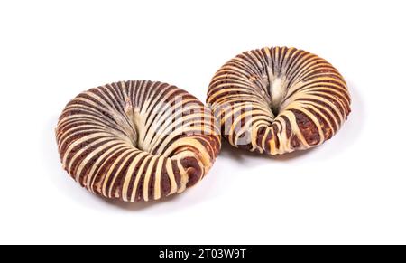 Panini di fagioli rossi dolci isolati su sfondo bianco Foto Stock