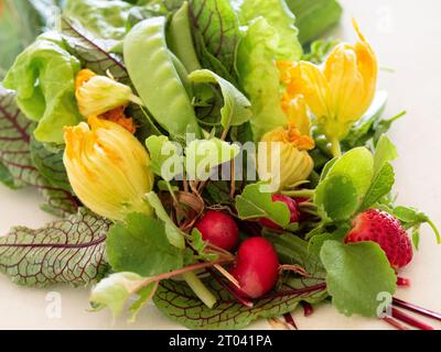 Cibo fresco raccolto nell'orto, prodotti colorati, verdure a foglia, fiori di zucca gialli, argillosi e una fragola, Australia Foto Stock