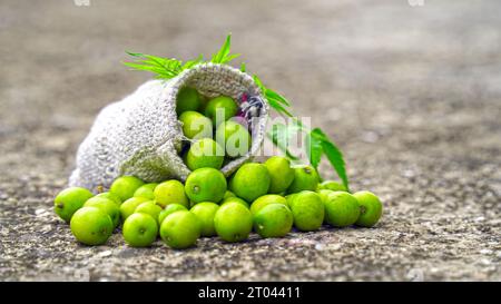 Neem Fruit con bastoncini di neem e foglie di neem isolate su sfondo bianco. Neem è un'eccellente idratante e contiene vari composti che contengono in Foto Stock