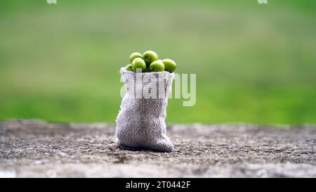 Frutta di Neem con bastoncini di neem e foglia di neem in sacco di rapa. Neem è un'eccellente idratante e contiene vari composti con e. Foto Stock