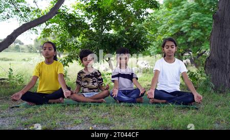 Bambini piccoli felici seduti in posizione di loto su un comodo tappetino con viso gioioso e sorridente, esercitandosi insieme con esercizi di respirazione yoga e facendo asa Foto Stock