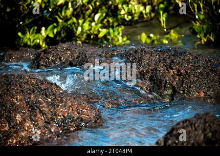 Le piccole onde si incanalano nelle nuove piscine rocciose sulla spiaggia mentre la marea si innalza. Foto Stock