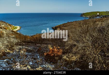 I fuochi estivi hanno consumato e bruciato la vegetazione mediterranea lungo la costa del Gargano. Puglia, Italia, Europa Foto Stock