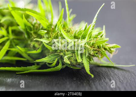 Marijuana Buds. Pianta di cannabis sul tavolo nero. Foto Stock