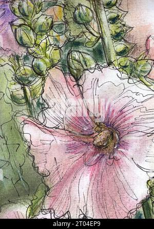 Inchiostro fantasioso e illustrazione pastello di hollyhock rosa. Foto Stock