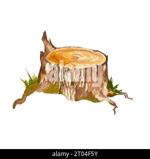 Ceppo di alberi con erba. Illustrazione realistica ad acquerello. Tronco tagliato con muschio verde ed erba. ceppo di legno con lichene verde scuro, piante. Bianco Foto Stock