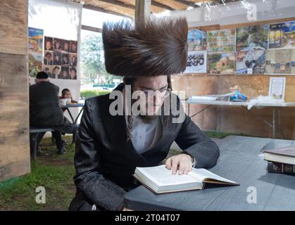 A Sukkos, un rabbino ortodosso che indossa un cappello di pelliccia di shtreimel legge i salmi mentre è seduto all'interno di una Sukkah. Nella contea di Rockland, New York. Foto Stock