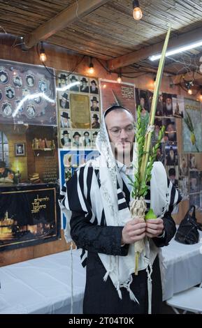 Un ebreo ortodosso posa per una foto che contiene le 4 specie di Sukkos. In una Sukkah a Monsey, New York. Foto Stock