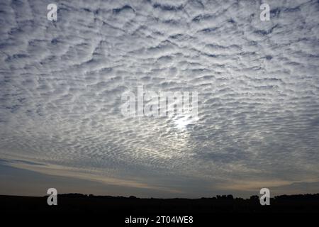 Altocumulus stratiformis al mattino, Germania, Renania settentrionale-Vestfalia Foto Stock