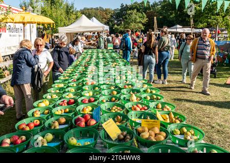 Historisches Apfelfest am Schloß Britz, Gutshof des Britzer Schloss, Obstsortenausstellung, Berlino Foto Stock