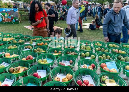 Historisches Apfelfest am Schloß Britz, Gutshof des Britzer Schloss, Obstsortenausstellung, Berlino Foto Stock