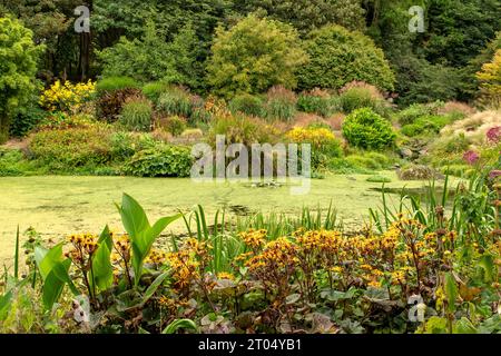 Giardini a Bonython Estate, Helston, Cornovaglia, Inghilterra Foto Stock