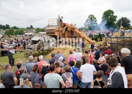 Old Combine Harvesterharvesting Festival, la raccolta di Harvestervest a Saint-Fraimbault (Orne, Normandia, Francia) Foto Stock