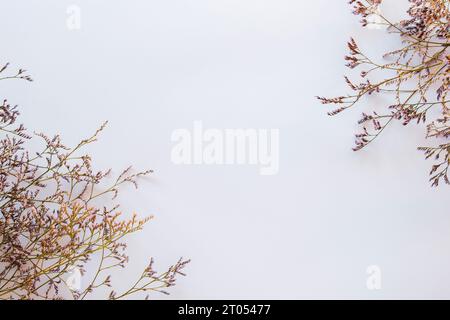 Fiori distesi. Fiori di kermek viola su sfondo bianco. Vista dall'alto, spazio di copia Foto Stock