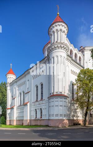 Vilnius, Lituania, 13 AGOSTO 2023. La cattedrale ortodossa di Theotokos Foto Stock