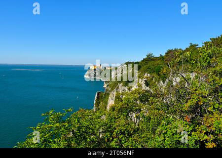 Vegetazione mediterranea sulle scogliere di Duino e del castello di Duino a Duino-Aurisina Foto Stock