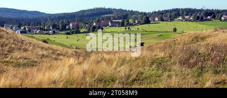 colline erbose e case ondulate nel giura francese Foto Stock