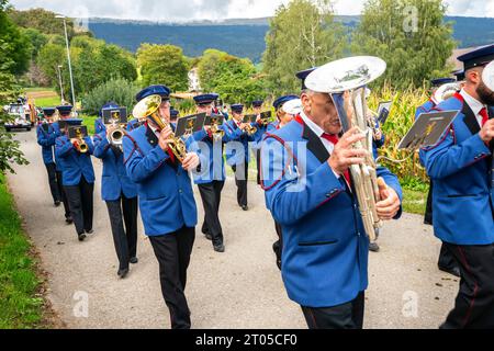 Le mucche vestite con i loro migliori costumi da festa scendono con orgoglio dai pascoli alpini all'edificio dove inizia la processione. Rue du Montilier Ligni Foto Stock