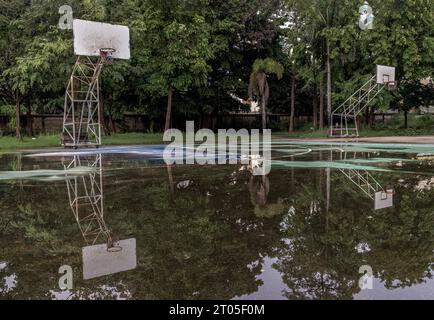 Due tabelloni da basket in legno con anelli in metallo e la rete bianca mostrano il loro riflesso sull'acqua piovana in tutto il vecchio basket Foto Stock