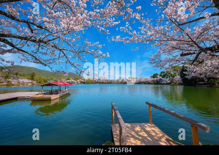 Kyoto, Giappone - marzo 29 2023: Tempio di Daikakuji con splendido giardino di ciliegi in fiore in primavera Foto Stock