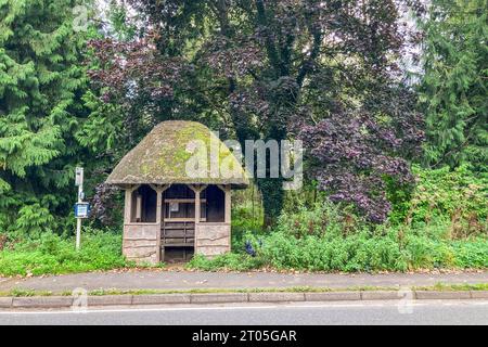 Fermata dell'autobus sulla strada di campagna, laterale. Tetto di paglia della capanna che si trova sulla strada di campagna. Hampshire, Regno Unito, Europa Foto Stock