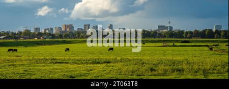 Skyline di Amsterdam Zuidas visto da Ouderkerk Aan De Amstel Foto Stock