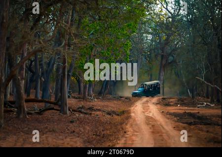 Splendida vista sulle strade forestali Foto Stock
