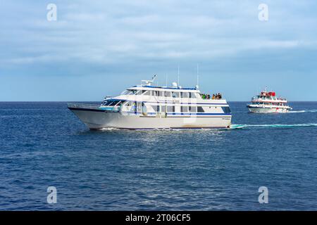 Avalon, CA, USA - 13 settembre 2023: Le navi Catalina Express e Island Explorer viaggiano sull'Oceano Pacifico al largo della costa di Santa Catalina Foto Stock