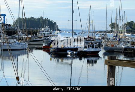 Una tranquilla vista mattutina delle barche ancorate nel porto di Camden, Maine Foto Stock