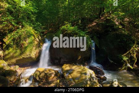 cascata tra le rocce della foresta. splendido sfondo naturale in estate. ambiente panoramico del parco naturale Foto Stock