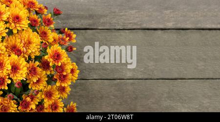 Bellissimo bouquet di crisantemi arancioni in fiore su sfondo di legno. Fiori autunnali brillanti. Vista dall'alto. Biglietto d'auguri con spazio per il testo. Fiori Foto Stock