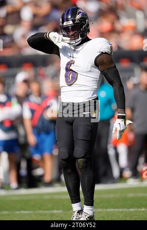 Baltimore Ravens linebacker Patrick Queen (6) runs during an NFL football  game against the Miami Dolphins, Sunday, Sept. 18, 2022 in Baltimore. (AP  Photo/Daniel Kucin Jr Stock Photo - Alamy