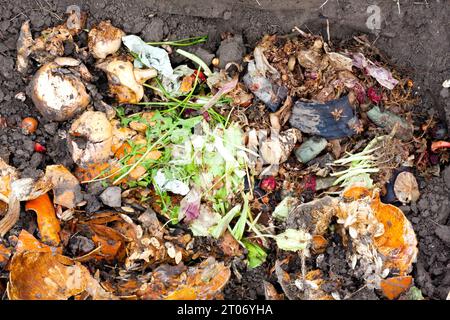 compost heap. Metodo ecologico per il riciclaggio dei rifiuti alimentari a casa per la fabbricazione del compost. Rifiuti alimentari nella fossa di compost nel giardino privato. Rifiuti organici in decomposizione f Foto Stock