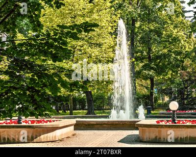 Bellissima fontana nel parco di Jaslo, Polonia. Foto Stock