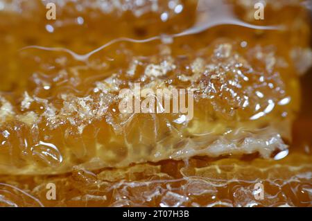 Cellule esagonali a nido d'ape con miele che tengono le uova dell'ape della regina e immagazzinano il polline ed il miele le api operaie portano all'alveare, massa di prismati Foto Stock