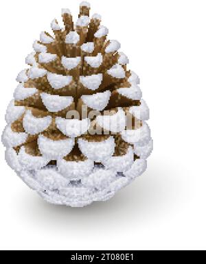 Cono Silver Pine realistico. Frutto ligneo decorativo singolo di un albero Conifer. Decorazioni natalizie, decorazioni natalizie su bianco Illustrazione Vettoriale