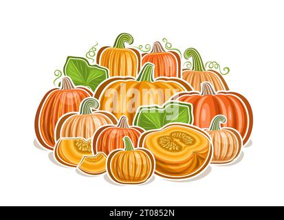 Logo vettoriale per zucche, poster orizzontale decorativo con disegno cartoni animati composizione vegetariana zucca gialla, stampa vegana con vari interi e c Illustrazione Vettoriale